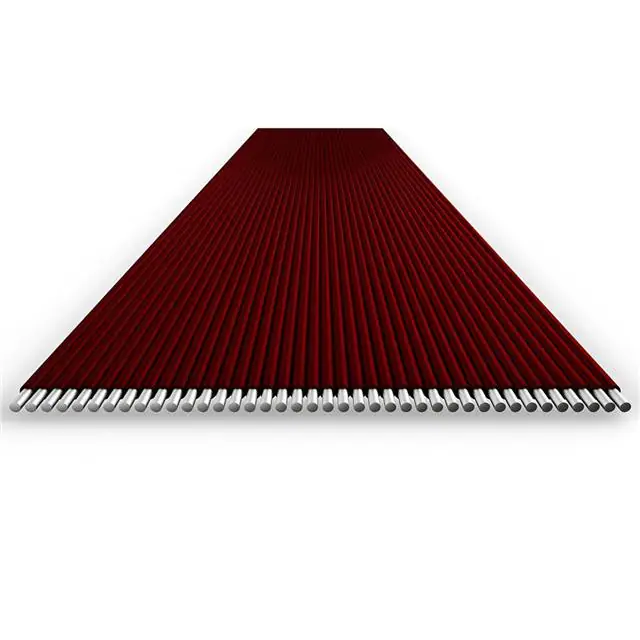 1000570261